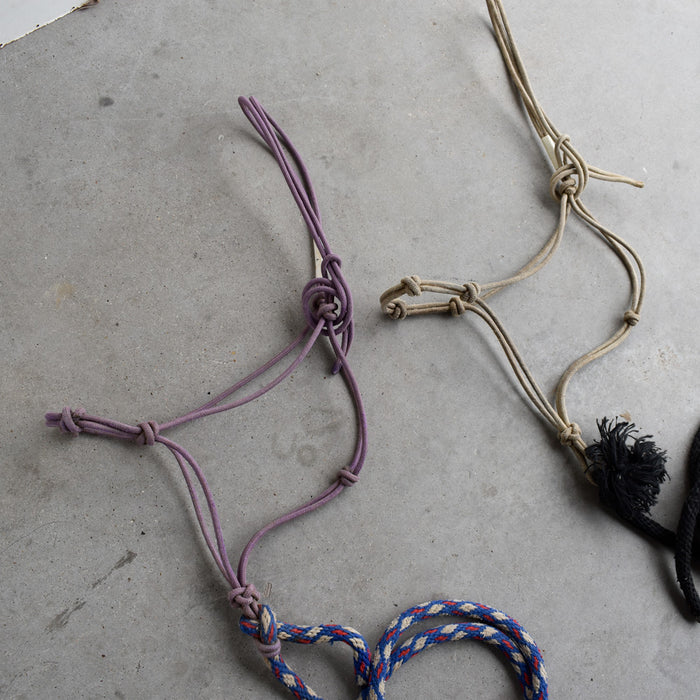 Used Assorted Rope With Halter With Leads Set of 2 Sale Barn Teskey's