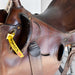 Used 14" Australian Outrider Collection Rider Saddle Sale Barn Australian Outrider Collection