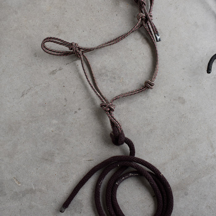 Used Assorted Rope With Halter With Leads Set of 2 Sale Barn Teskey's