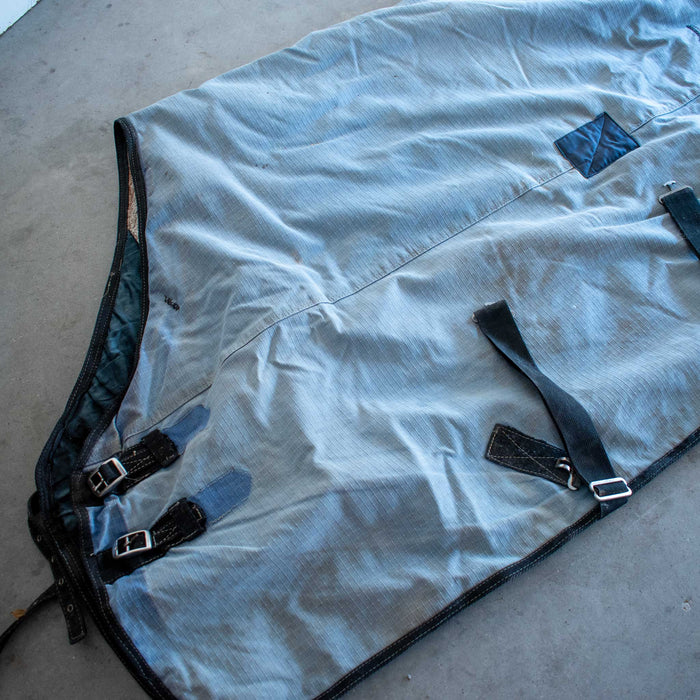 Used 60" Winter Blanket
