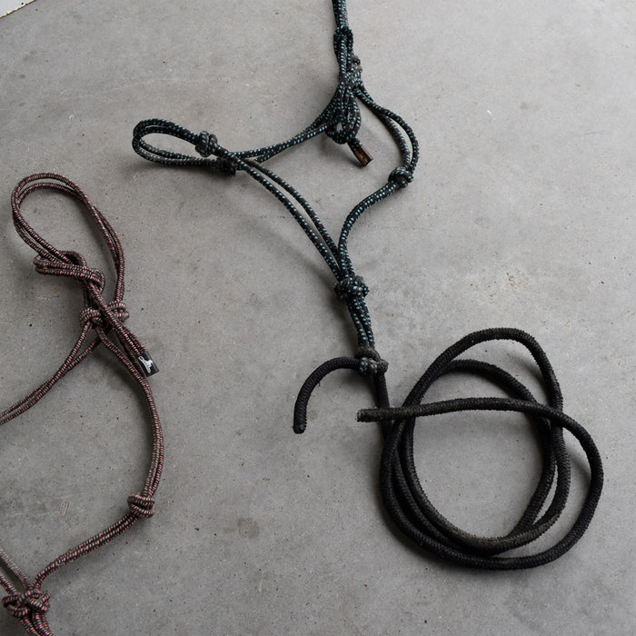 Used Assorted Rope With Halter With Leads Set of 2 Sale Barn Teskey's