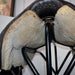 Used 15.5" Craig Johnson Non-Rider Saddle Sale Barn Craig Johnson