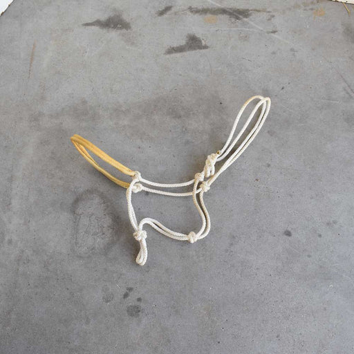 Used Rope Halter Sale Barn Teskey's