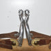 Used Women's Spurs With Spur Straps Sale Barn misc