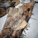 Used Cowhide Leather Chinks Sale Barn MISC