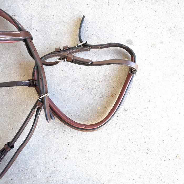 NEW Henri De Rivel Headstall With Padded Noseband Sale Barn Teskey's