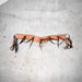 Used 30" Roughout Concho Tripping Collar With Latigo Fringe Sale Barn misc