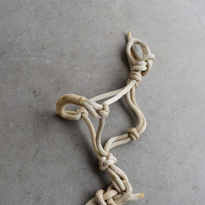 Used Assorted Rope With Halter With Leads Set of 2 Sale Barn Teskey's