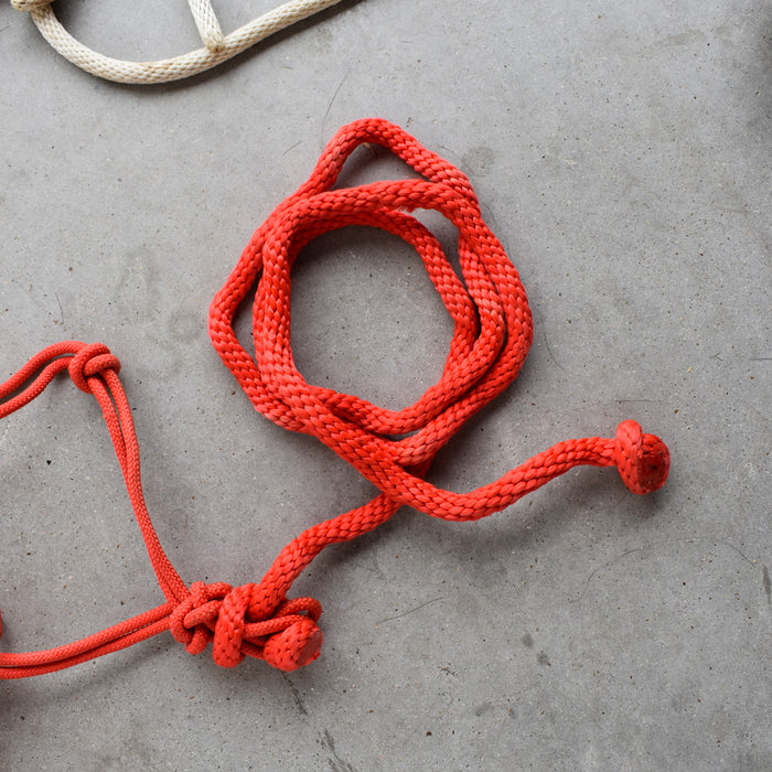 Used Assorted Rope With Halter With Leads Set of 2 Sale Barn Teskey's