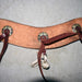 Used 30" Roughout Concho Tripping Collar With Latigo Fringe Sale Barn misc
