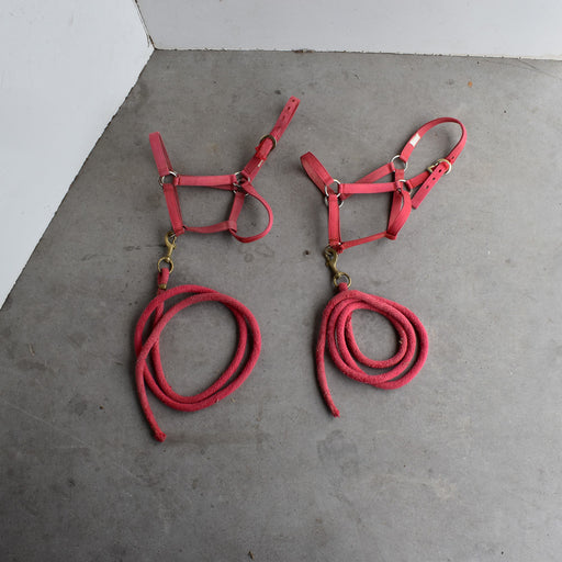 Used Assorted Rope With Halter With Leads Set of 2 Sale Barn Weaver