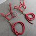 Used Assorted Rope With Halter With Leads Set of 2 Sale Barn Weaver