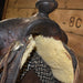 Used 14" C.H.L. Rockwall Tex Maker Non-Rider Decor Saddle Sale Barn misc