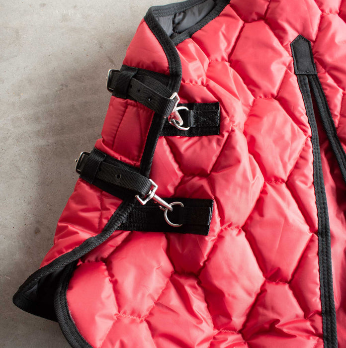 Like NEW Teskey's 78" Winter Blanket