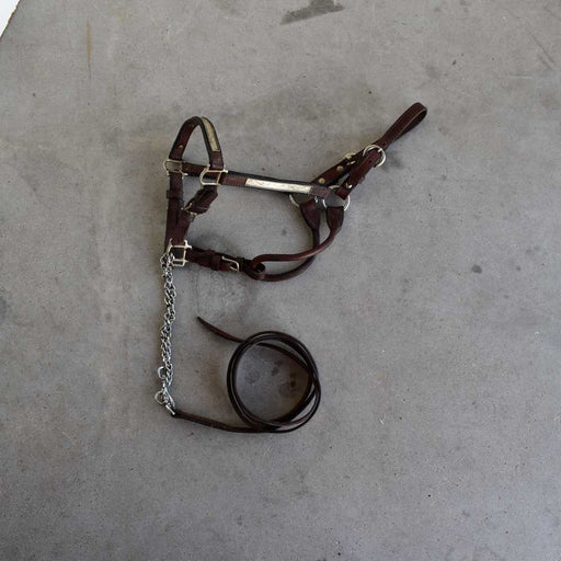 Used Silver Show Headstall With Lead Sale Barn Teskey's