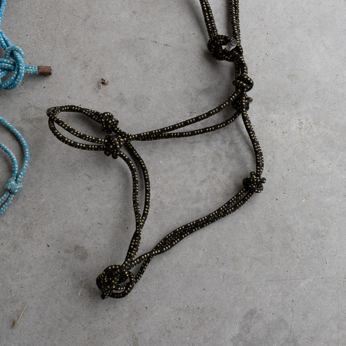 Used Assorted Rope Halters Set Of 2 Sale Barn Teskey's