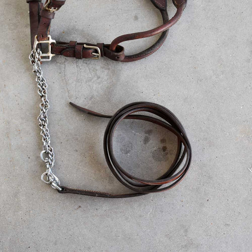 Used Silver Show Headstall With Lead Sale Barn Teskey's