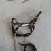 Used Silver Show Headstall With Lead Sale Barn Teskey's