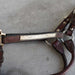 Used Silver Show Headstall With Lead Sale Barn Teskey's