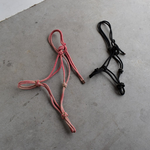 Used Assorted Rope Halters Set Of 2 Sale Barn Teskey's