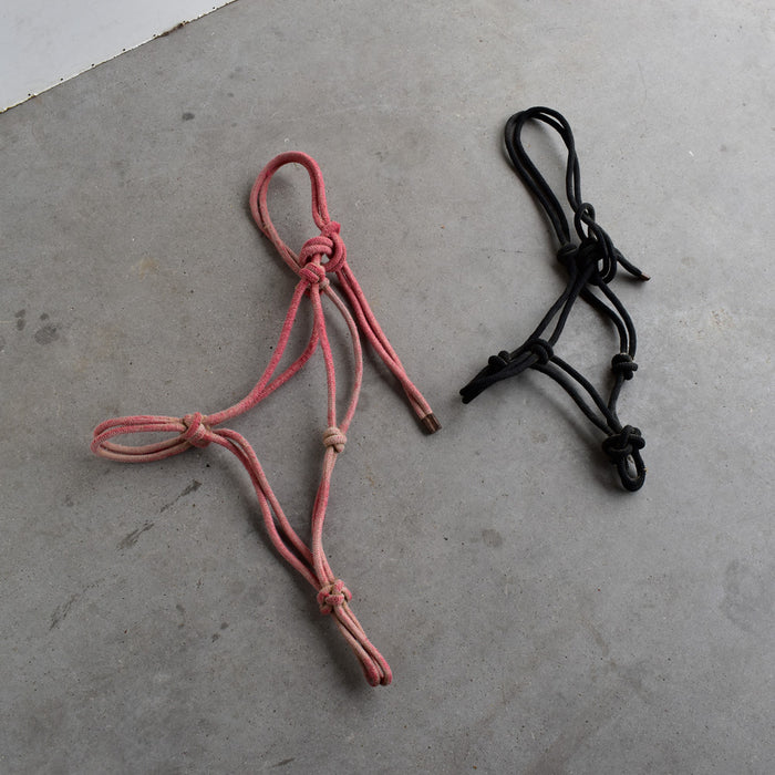 Used Assorted Rope Halters Set Of 2 Sale Barn Teskey's