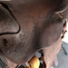 Used 14.5" Non-Rider Decor Only Saddle Sale Barn TESKEY'S