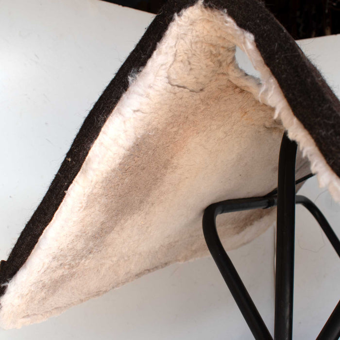 Used Brand X Equine Saddle Pad Sale Barn MISC