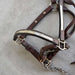 Used Silver Show Headstall With Lead Sale Barn Teskey's