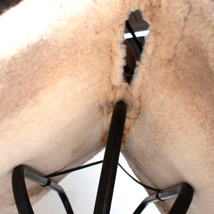 Used Brand X Equine Saddle Pad Sale Barn MISC