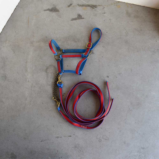 Used Halter With Lead Sale Barn Teskey's