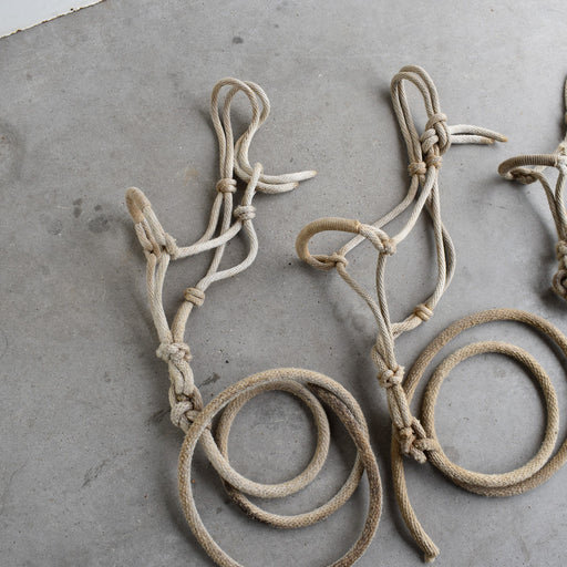 Used Assorted Weanling Rope Halter With Leads Set of 3 Sale Barn Teskey's