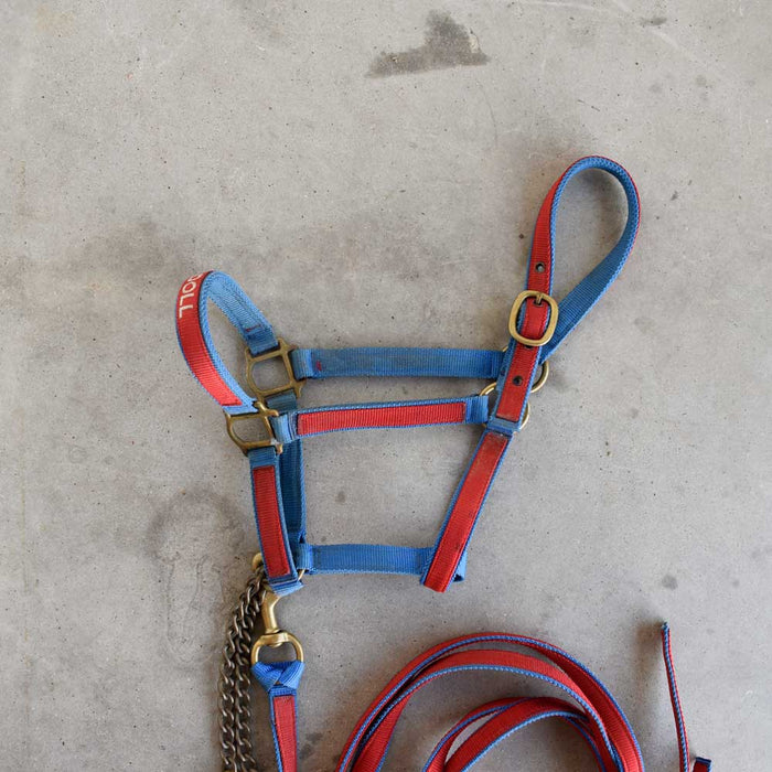 Used Halter With Lead Sale Barn Teskey's
