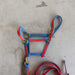 Used Halter With Lead Sale Barn Teskey's