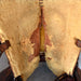 Used 15" Billy Cook Non-Rider Decor Only Saddle Sale Barn Billy Cook