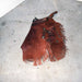 Used Burnt Orange Chinks Sale Barn misc
