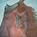 Used Burnt Orange Chinks Sale Barn misc