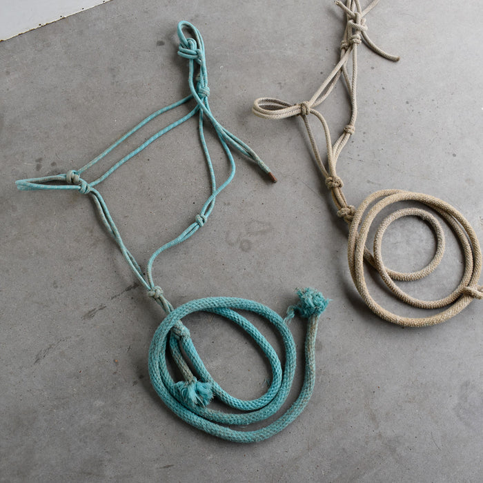 Used Assorted Rope Halter With Leads Set of 2 Sale Barn Teskey's
