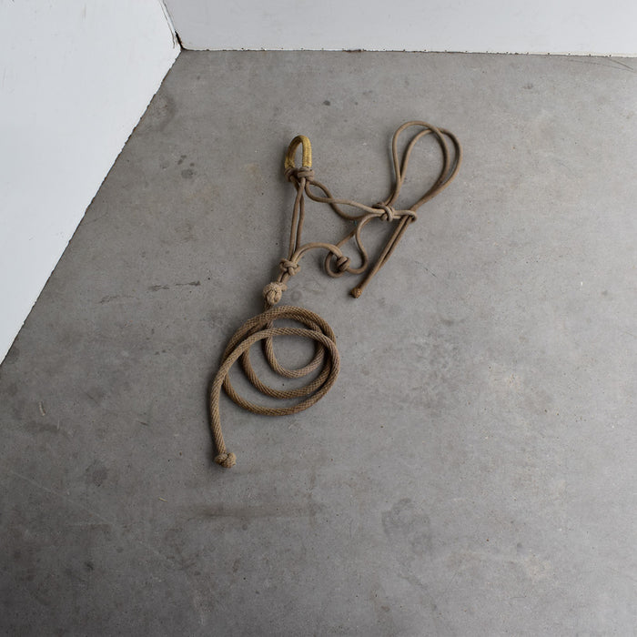 Used Rope Halter With Rawhide Noseband And Lead Sale Barn Teskey's