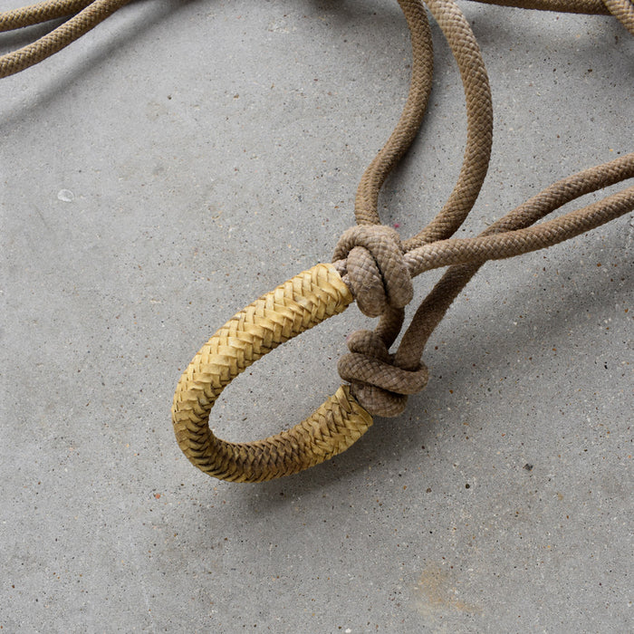 Used Rope Halter With Rawhide Noseband And Lead Sale Barn Teskey's