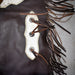 Used Brown Chinks With Cowhide Sale Barn MISC