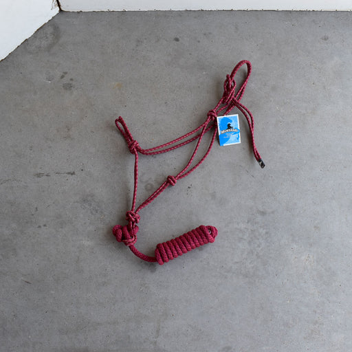 NEW Mustang Halter With Lead Sale Barn Mustang