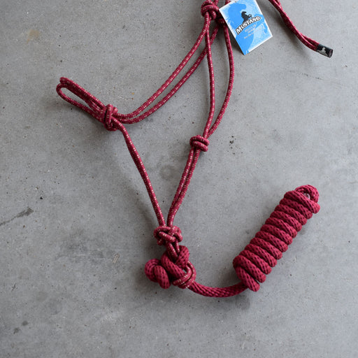NEW Mustang Halter With Lead Sale Barn Mustang