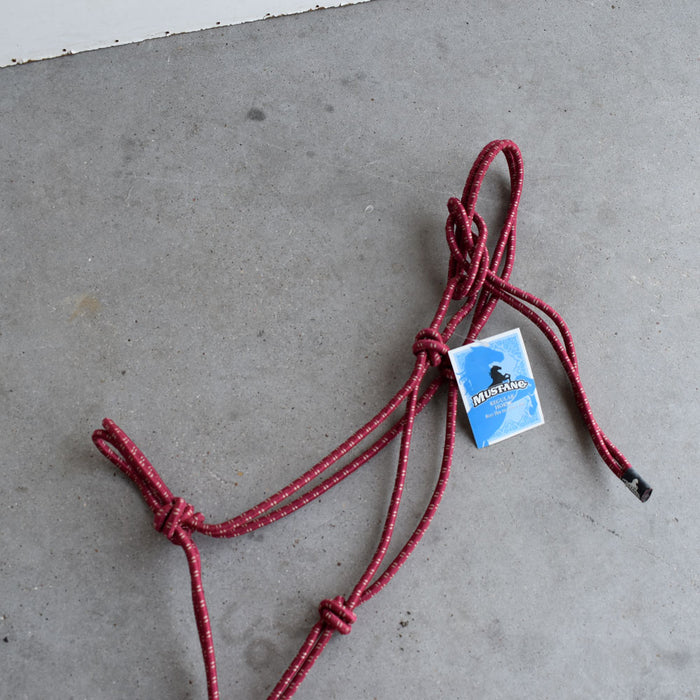 NEW Mustang Halter With Lead Sale Barn Mustang