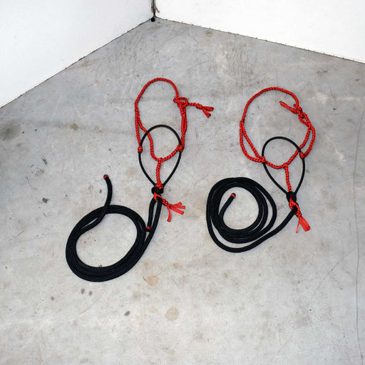 NEW Rope Noseband With Leads Set Of 2 Sale Barn misc