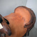 Used 15" Colorado Saddlery Rider Saddle Sale Barn Denver Colorado Saddlery