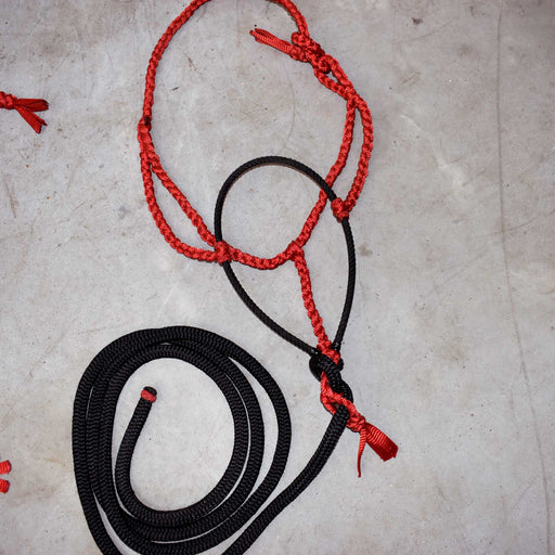 NEW Rope Noseband With Leads Set Of 2 Sale Barn misc