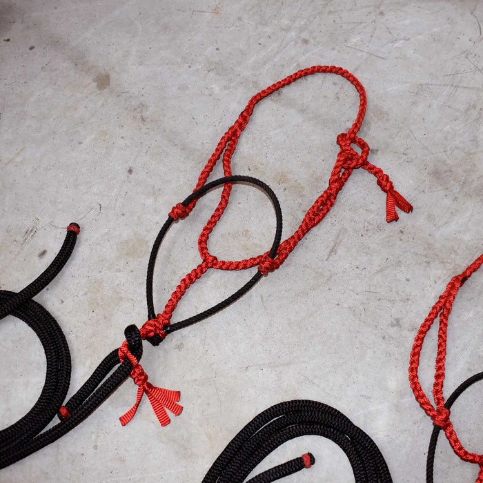 NEW Rope Noseband With Leads Set Of 2 Sale Barn misc