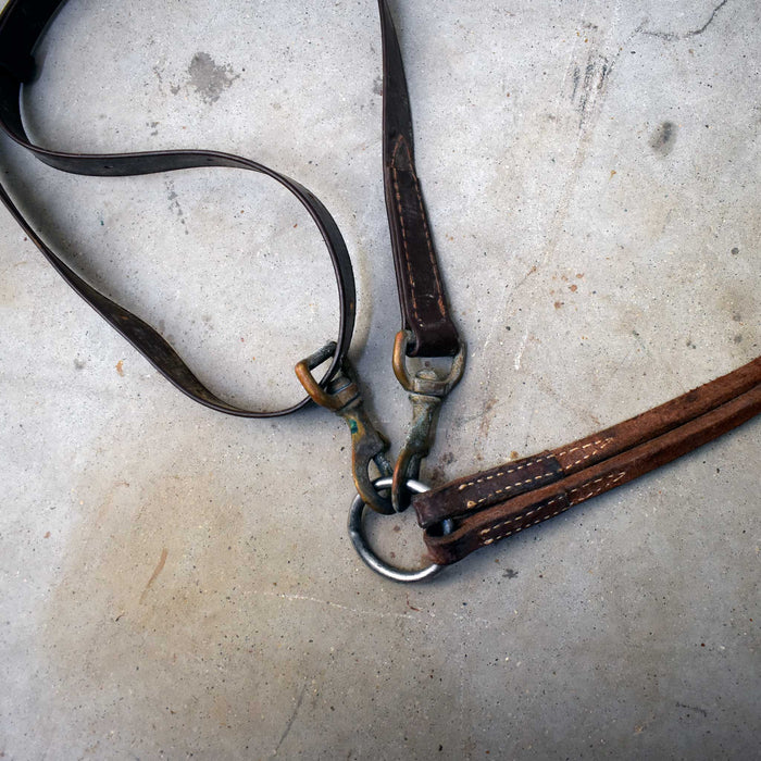 Used Assorted Noseband & Cavesson Set Sale Barn misc