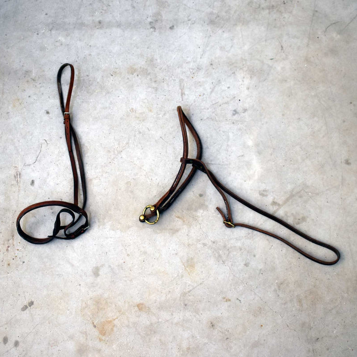 Used Assorted Noseband & Cavesson Set Of 2 Sale Barn misc