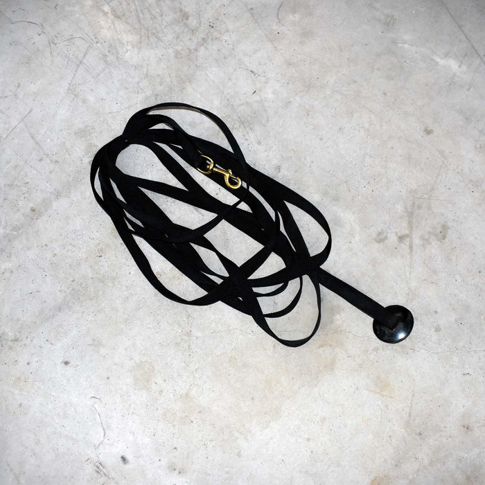 Used Lung Line With Rubber Stopper Sale Barn misc